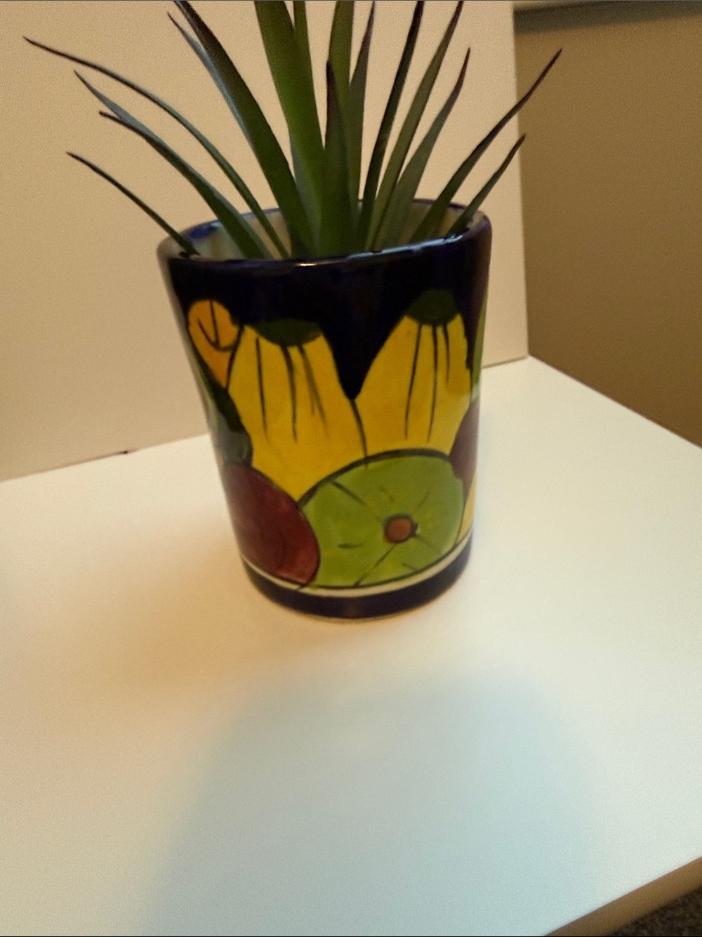 Mexico Hand-Painted Ceramic Fruit Tumbler  Planter Holder with Blue Rim - Picture 3 of 14